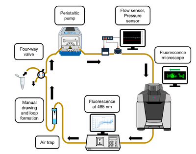 Takasago Electric’s chip pump supported real-time observation of amyloid formation