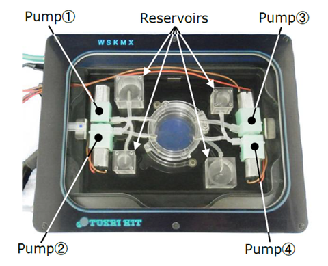 Live Cell Imaging Fluidic System
