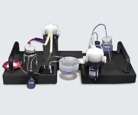Live Cell Imaging Fluidic System