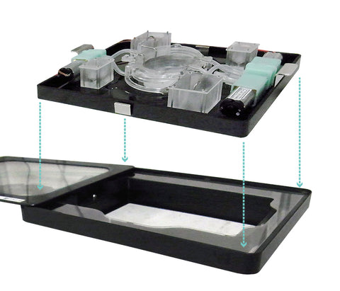 Live Cell Imaging Fluidic System