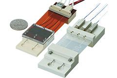 Manifolds & Chips